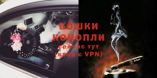 ГАЛЛЮЦИНОГЕННЫЕ ГРИБЫ Кодинск