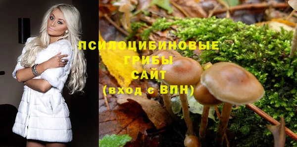 ГАЛЛЮЦИНОГЕННЫЕ ГРИБЫ Кодинск