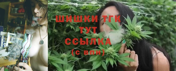 ГАЛЛЮЦИНОГЕННЫЕ ГРИБЫ Кодинск