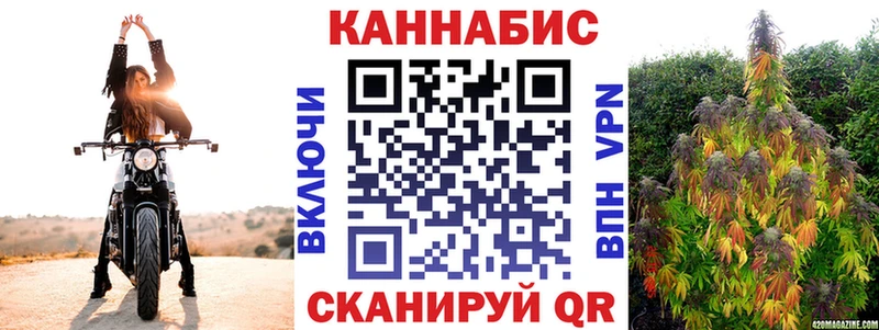 Купить закладки  Плавск  Каннабис Amnesia 